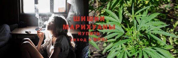 ПСИЛОЦИБИНОВЫЕ ГРИБЫ Алексеевка