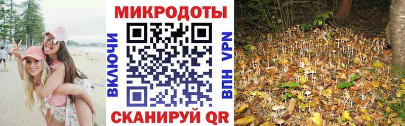 Псилоцибиновые грибы Magic Shrooms  Анжеро-Судженск 